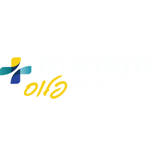 לקוח 6
